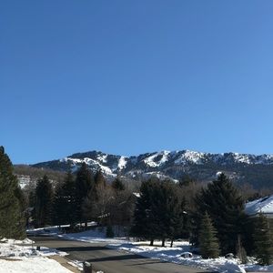 Meet your Posher, Isabel